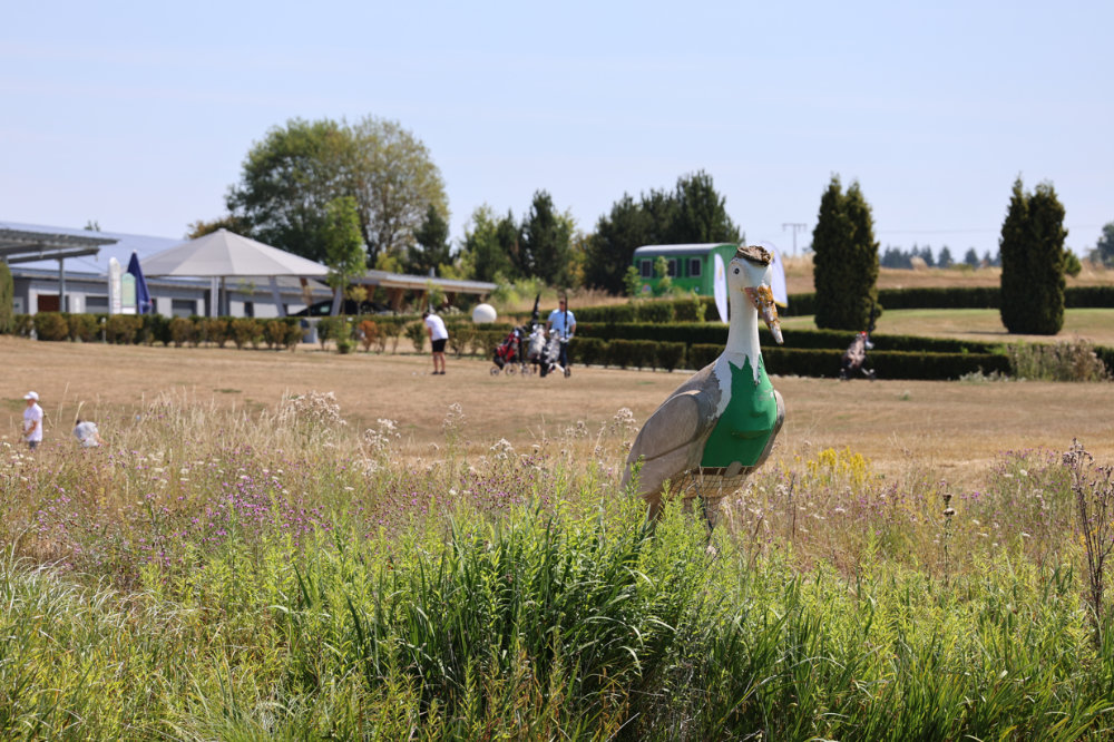 Foto: Impressionen | AGEB Energie-Cup 2026
